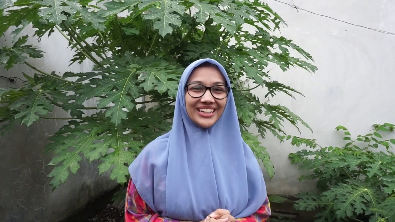 Belajar Beternak Kambing dengan Pak Umbaripena - Episode 1 : Unsur