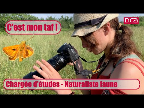 Miniature de la vidéo C'est mon taf | Naturaliste faune sauvage | Manon Cognyl