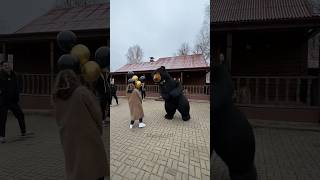A big dancing bear ran under the Offspring to the girl to give movement to the holiday #blackbear