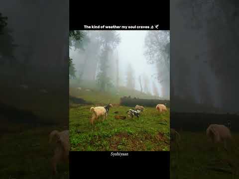 Sun Saathiya Full Video Disney S ABCD2 Varun Dhawan Shraddha Kapoor Sachin Jigar