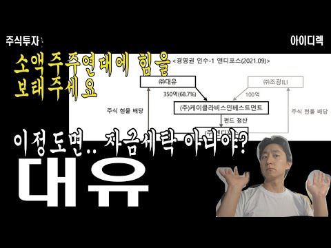   대유 소액주주연대에 힘을 보태야 하는 이유 회삿돈 돌리며 자금세탁 움직임인데 이거