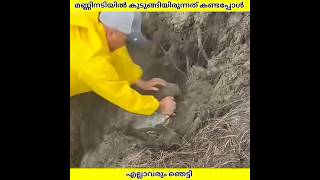മണ്ണിനടിയിൽ മാസങ്ങളായി കുടുങ്ങിയിരുന്നത് കണ്ടപ്പോൾ | Ashik Uncovered | #shorts