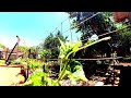 O Movimento Invisível Das Plantas #parte02