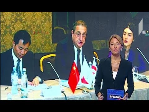 ჩინეთის დელეგაციის ვიზიტი