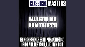 Allegro Ma Non Troppo