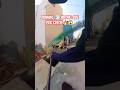 Goku Boy Amazing Dog Catch #dog #streetdogrevival #ytviral #goku #rescue