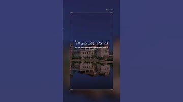 تلاوة خاشعة #قرآن #قران_كريم #explore #قران #تلاوات #اكسبلور #allah