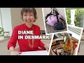 Flylady Basics (Date night/car/purse), our family's Danish snack basket, 31 Day Exercise (day 10)!