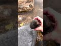 Real crystal hunting spots exist near you