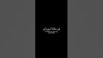 القارئ شريف مصطفى || قال لا تخافا انني معكما اسمع وارى🤍🎧
