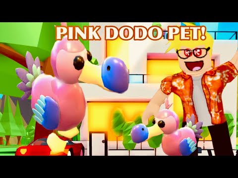 New Dodo Pet In Adopt Me Youtube - new how to get dodo bird pet in adopt me roblox dodo bird pet update release date youtube