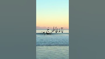 سورة البقرة - د/عادل أحمد زكي