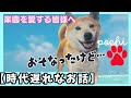 【時代遅れ】大根が意外に重たかった散歩でブツブツ