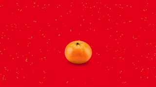 Majestic Beginnings This Chinese New Year 吉龙呈祥 如意腾飞