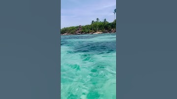 Phú Quốc vẫn còn những bãi biển hoang sơ #travel #beach #shorts #viralvideo #phuquoc