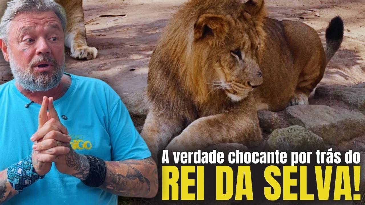 O QUE NINGUÉM TE CONTOU SOBRE OS LEÕES DO ZOOLÓGICO! 🦁⚠️