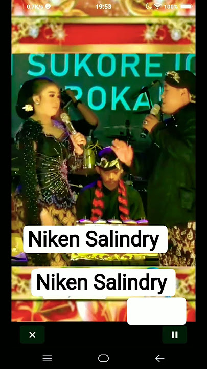 Wow  full spektakuler lagu baru semua #duet #nikensalindrycampursari #funny #comedy #love #cat