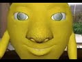 Lemon singing happy birthday its your birthday