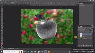 Photo Manipulation in Photoshop |  Apple and Fish