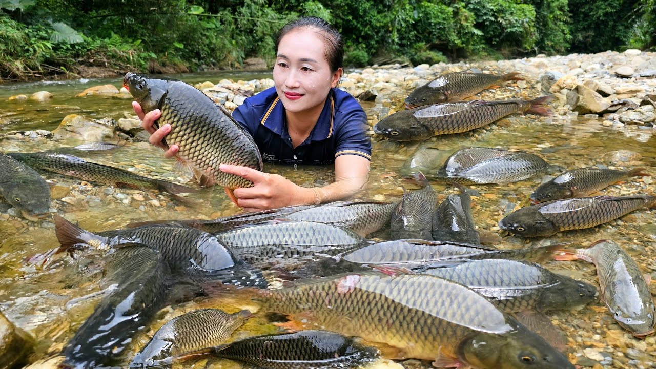 Encounter huge schools of fish - Trap fish and catch fish go to ...