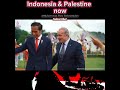  shorts edit indonesia palestine palestina geography g20 palestinewillbefreedom free