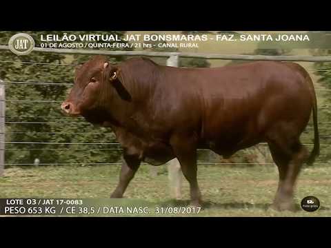 LOTE 003