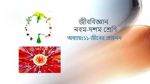 Class: 9 & 10,Biology (Lecture12),Chapter:11(Part:4),Shayla Parvin