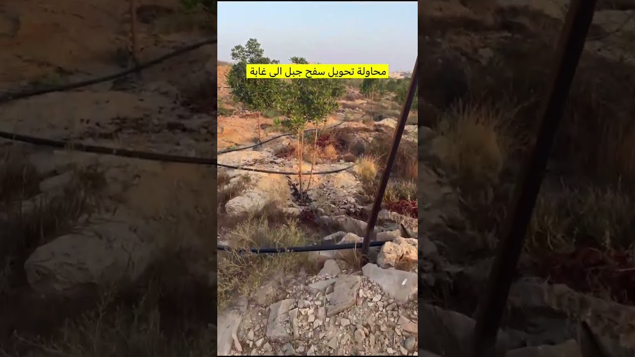 تحويل سفح جبل لغابة #مفاتيح#احمد_بدوي#هرمون_السعادة#ملهم 