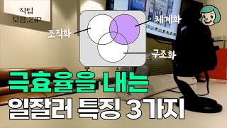 극소수만 가진 일잘러 특징 3가지 (조직화, 체계화, 구조화)