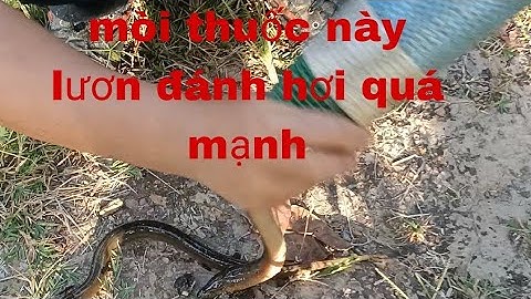 đặc trúm xuống/mòi thuốc mới này/ có lương là vô cứng ống/ luôn nha / bao nhạy/