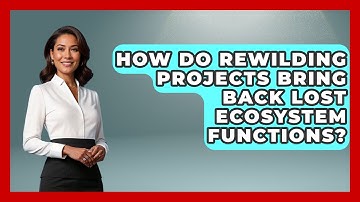 How Do Rewilding Projects Bring Back Lost Ecosystem Functions? - Explaining Ecology
