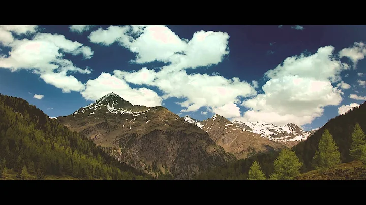 Audrey Fall - Petrina (Official Music Video)