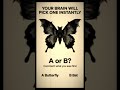 Butterfly or Bat Test: What You See First Reveals Your Brain’s Pattern Recognition Style