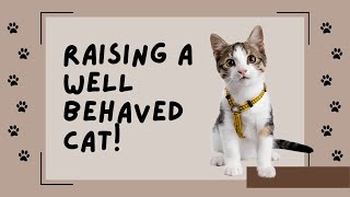 How To Raise a WellBehaved Cat