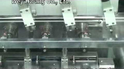WH-2004 Automatic winding machine.wmv