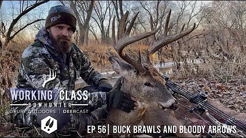 EP 56 | Buck Brawls And Bloody Arrows - Working Cl...