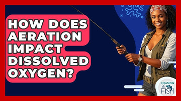 How Does Aeration Impact Dissolved Oxygen? - Chasing Big Fish