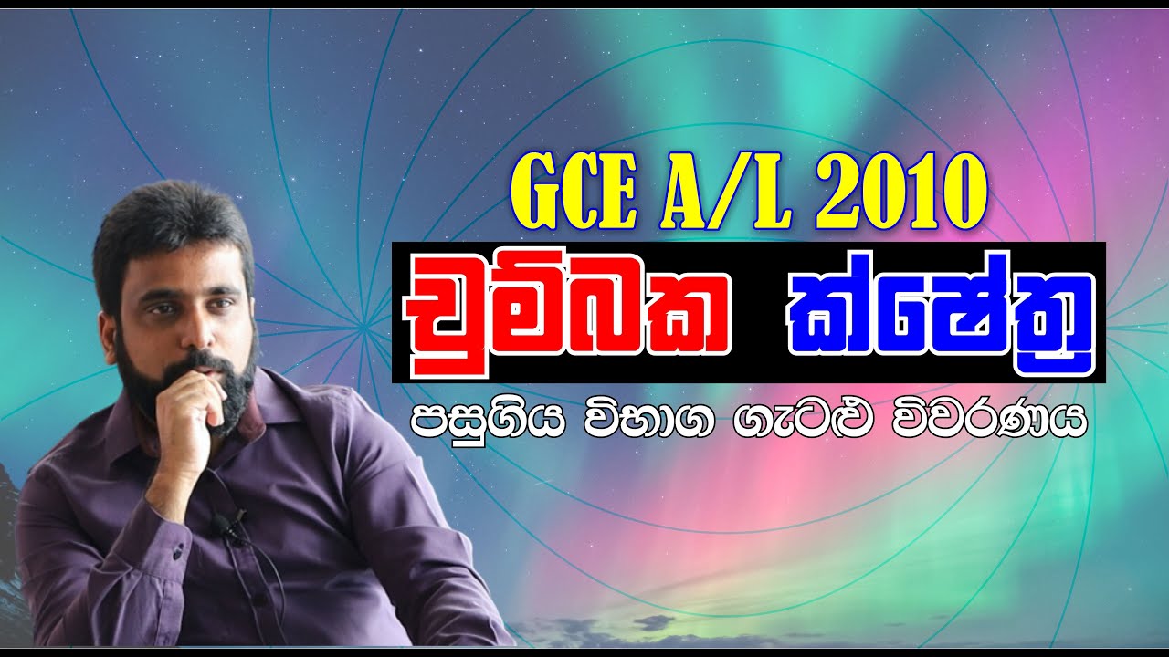 Mahen Jecob | Magnetic Fields | 2010 Essay