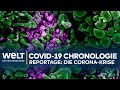 CORONA-REPORTAGE: Wie der Coronavirus die Welt eroberte - Chronologie der COVID-19-Krise