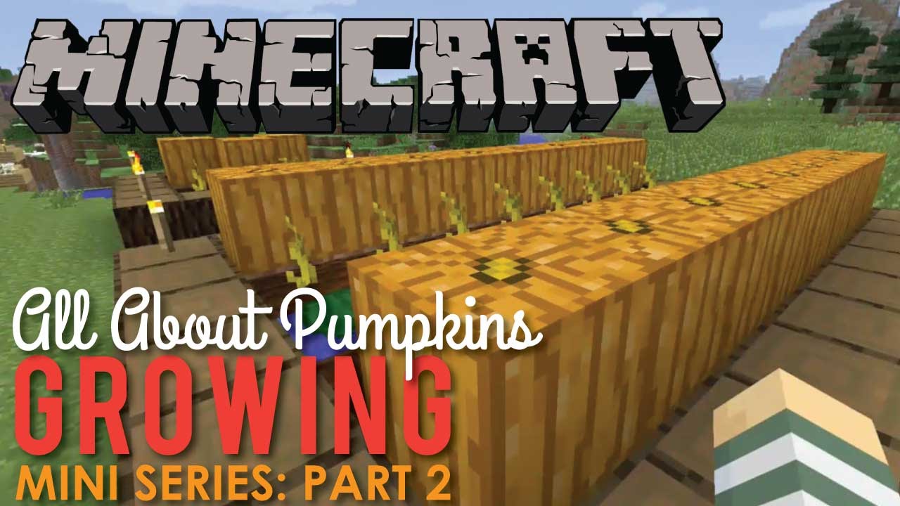 All About Growing Pumpkins in Minecraft, Part 2 - YouTube