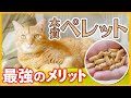 【猫砂】木質ペレットのメリットが最強すぎるから聞いて！