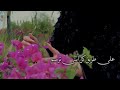 شاهد الشاعرة عواطف العامريفي رشة عواطف