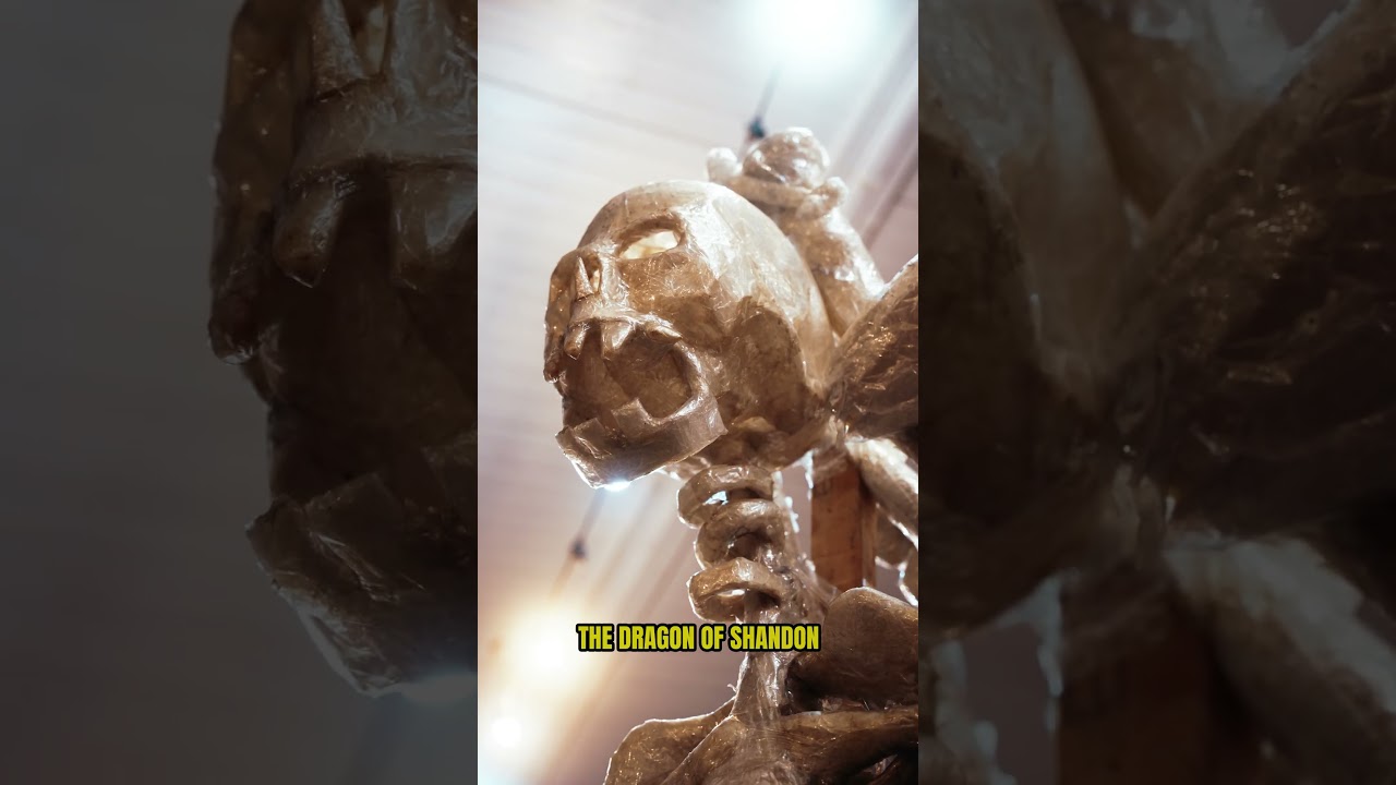 Marina Market workshops 