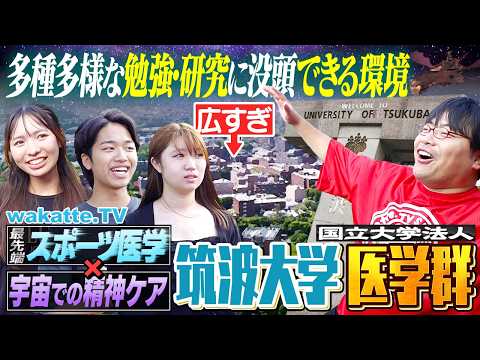 wakatte.tv - YouTube
