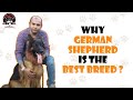 Why GERMAN SHEPHERD is the best breed ? | By Baadal Bhandaari | Call Now - 9878474748