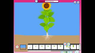 Just2easy Live Lesson - Spring Animation: Growing Flowers
