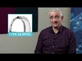 Liquid hydrocarbon pipeline seals for dual-pressurized and unpressurized arrangements | John Crane