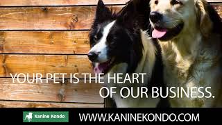 Pet Services in Helena MT, details at YellowPages.com