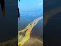 🇳🇵Flying Over National Park of Nepal | Nepal #nepal #shorts #travel