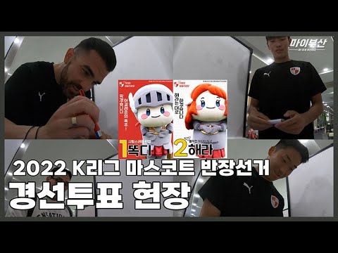 부산아이파크🛡ㅣ치열했던(?) 똑디 🆚 해라 마스코트 반장선거 경선투표 현장🔥